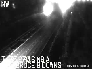 Traffic Cam I-75 N of Bruce B Downs