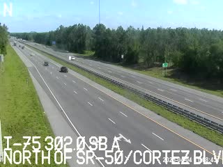 Traffic Cam I-75 at MM 301.9